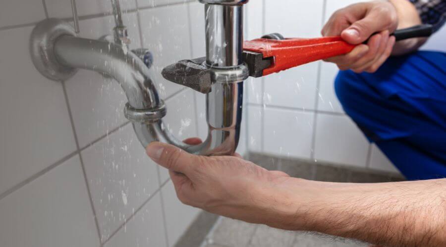 Professional Leak Detection services in Briggs, TX
